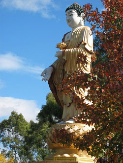Amitabha Buddha Amitabha Buddha